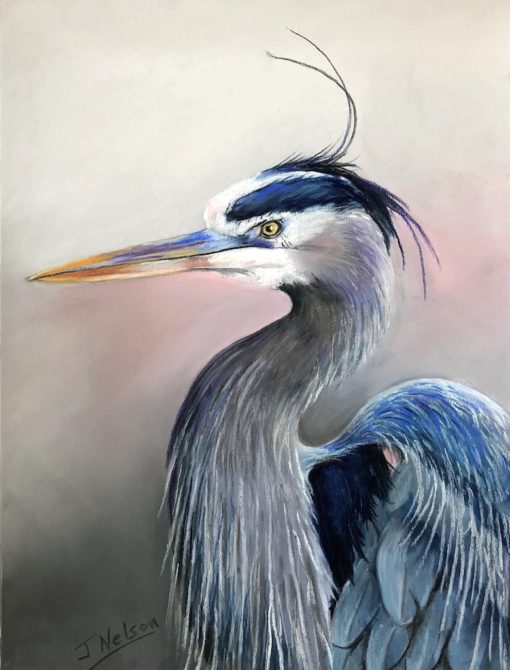 Great Blue Heron